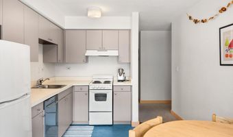 115 Boomerang Rd 5309, Aspen, CO 81611