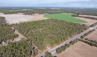 4700 County Road 340, Bell, FL 32619