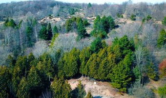 Maxey Road, Arcadia, MI 49613