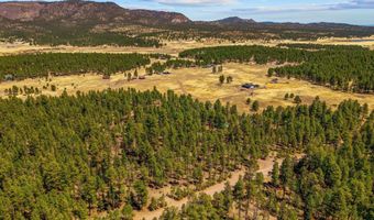 61 Co Rd 2266, Alpine, AZ 85920