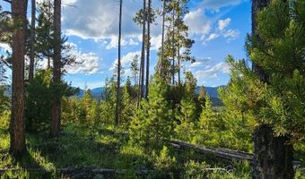 NHN Herring Flats Road, Anaconda, MT 59711
