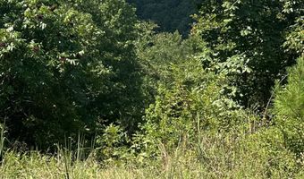 776 JOHN ASHLEY, Amity, AR 71921