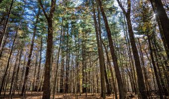 Lot 33 S Badger Lane, Arkdale, WI 54613