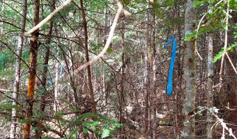 NKA Wandering Wolf Ridge Lot 3, Clark Fork, ID 83811