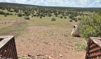 19 N8483, Concho, AZ 85924