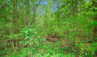 GA HWY 0103, West Point, GA 31833