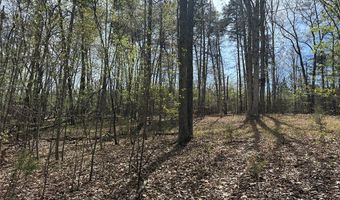 Gladys Road, Altavista, VA 24517