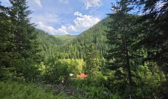 480 Dunn Peak Rd, Avery, ID 83802