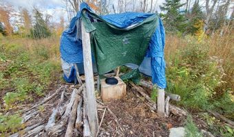 91 Greenleaf Brook Rd, Amity, ME 04730