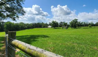 3350 SE Mount Pleasant Ln, Bogue Chitto, MS 39629
