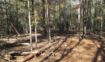 Hillside Drive, Americus, GA 31709