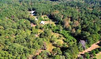 6978 Moontown Dr, Appling, GA 30802