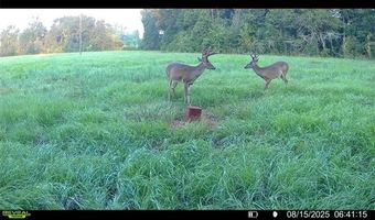 Tract B BOOMERANG Road lot Tract, Amite, LA 70422