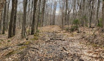 0 Clarks/Woodland Trl 409-4, Alexandria, NH 03220
