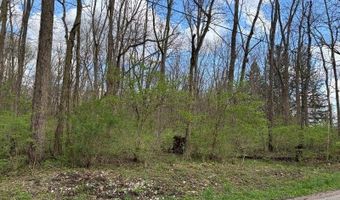 Black Highway, Adrian, MI 49221