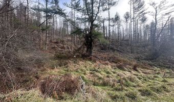 99999 White Pine Ln, Bakersville, NC 28705