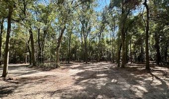 SW 20th St, Bell, FL 32619