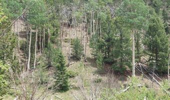 Lots 1-4 block 4, Bonanza, CO 81155