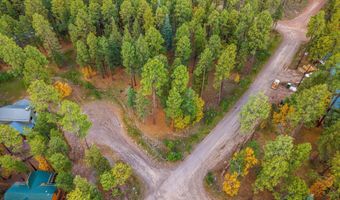 7 2190, Alpine, AZ 85920