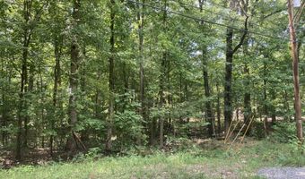 Lot 1069 Iron Gate Drive, Baneberry, TN 37890