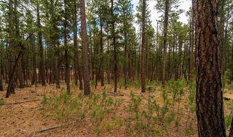 44 Ponderosa, Douglas, WY 82633