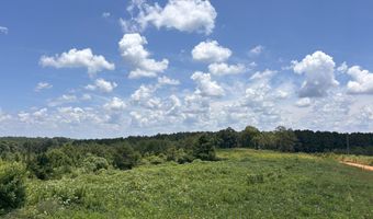 0 CR-215, Ariton, AL 36311