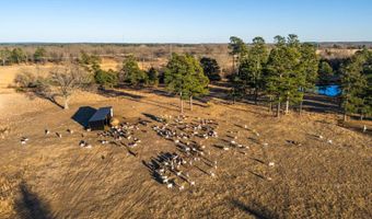 193444 Us Hwy 271, Antlers, OK 74523