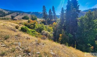 53 Runnin Bear Rd, Carmen, ID 83462