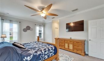6127 COLMAR Pl, Apollo Beach, FL 33572