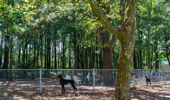 31 DRIFTWOOD Ln, Berlin, MD 21811