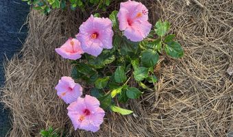 2687 Linda Ln, Alford, FL 32420