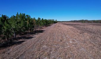 53 86 Acres-TBD Pate Rd, Bishopville, SC 29010