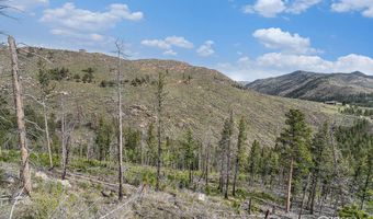 5959 Stove Prairie Rd, Bellvue, CO 80512