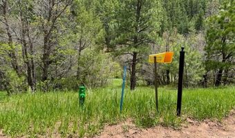TBD-2 Vine Mesa Ave, Beulah, CO 81023