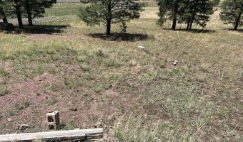 450 County Road 2104, Alpine, AZ 85920