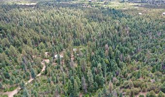 End of El Salto Road, Arroyo Seco, NM 87514