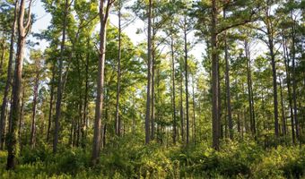 CARPENTER ROAD, Bastrop, LA 71220