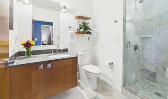 231 Robinson St R306, Basalt, CO 81621