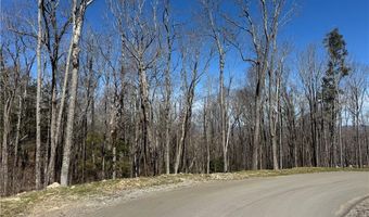 ES71 Twisted Oak Path, Banner Elk, NC 28604