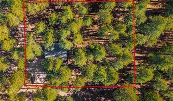 343 Deer Trail Ln, Bayfield, CO 81122