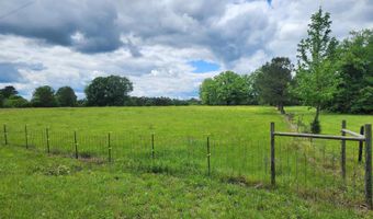 305 STOLLE FARM Rd Metes and bounds, Ashville, AL 35953