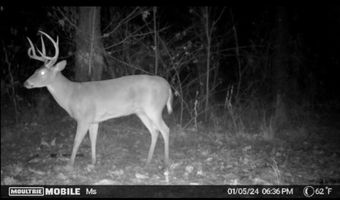 St. Johns Road, Braxton, MS 39044