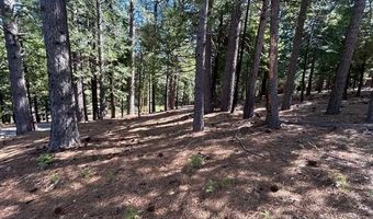 2179 Navajo, Arnold, CA 95223