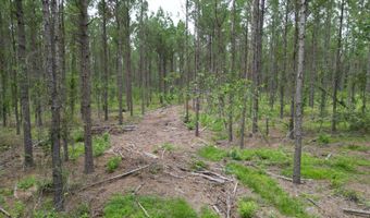 19 43 Big Rocks Rd, Antlers, OK 74523