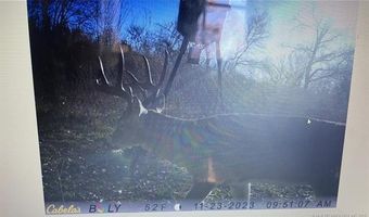 Mayes, Adair, OK 74330