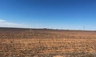 Farm To Market Rd 54, Abernathy, TX 79311