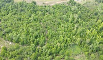 TBD NW CR 274, Altha, FL 32421