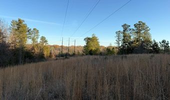 9 21 Acres Lee St And Elberton St, Calhoun Falls, SC 29628