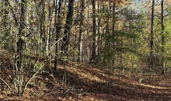 33 Eagle Rdg, Ball Ground, GA 30107