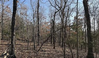 Pecks Drive N, Bergman, AR 72615
